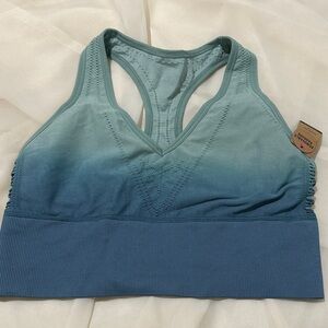 PINK Victoria's Secret Blue/Green Ombre Sports Bra